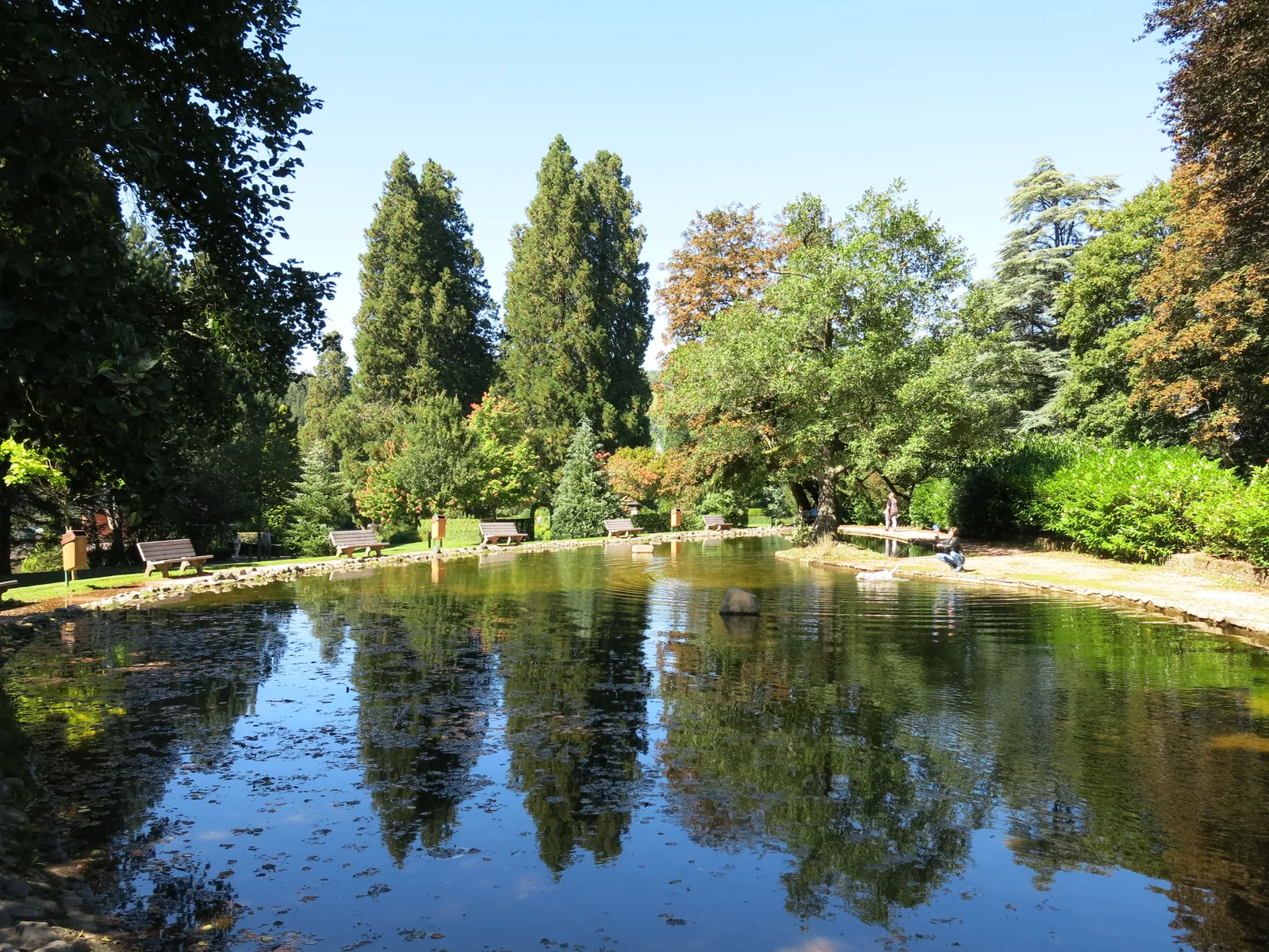 Étang et grands arbres du parc Fenestre à La Bourboule